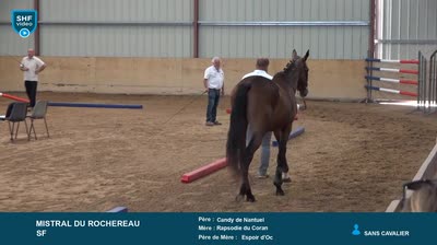 REGIONAL QUALIFICATIF POITOU-CHARENTES 2 - 2025-07-29