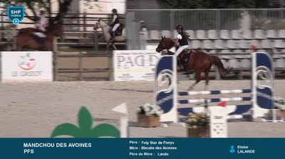 NIMES CENTAURE ELEVAGE - 2026-06-16