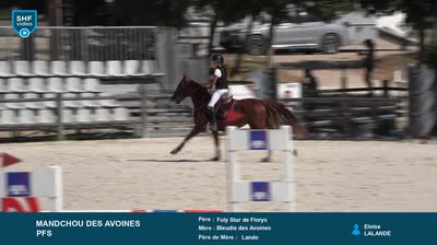 NIMES CENTAURE ELEVAGE - 2026-06-17
