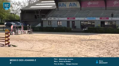 Miniature vidéo