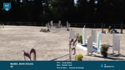 Miniature vidéo