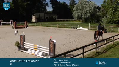 ST REMY DE PROVENCE - 2026-05-11