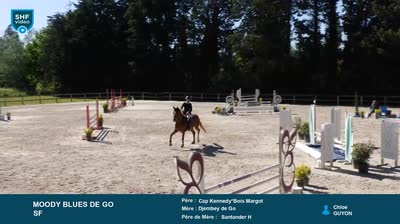 ST REMY DE PROVENCE - 2026-05-12