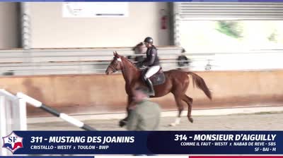 QUALIFICATIVE &Eacute;TALONS SELLE FRAN&Ccedil;AIS 2 E - 2025-11-04