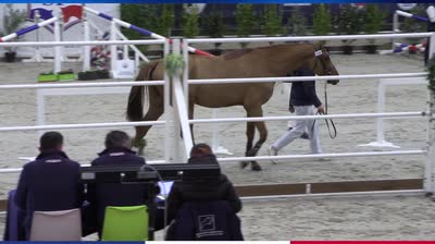 CHAMPIONNAT DES ETALONS  2 ANS SELLE FRA - 2024-12-12