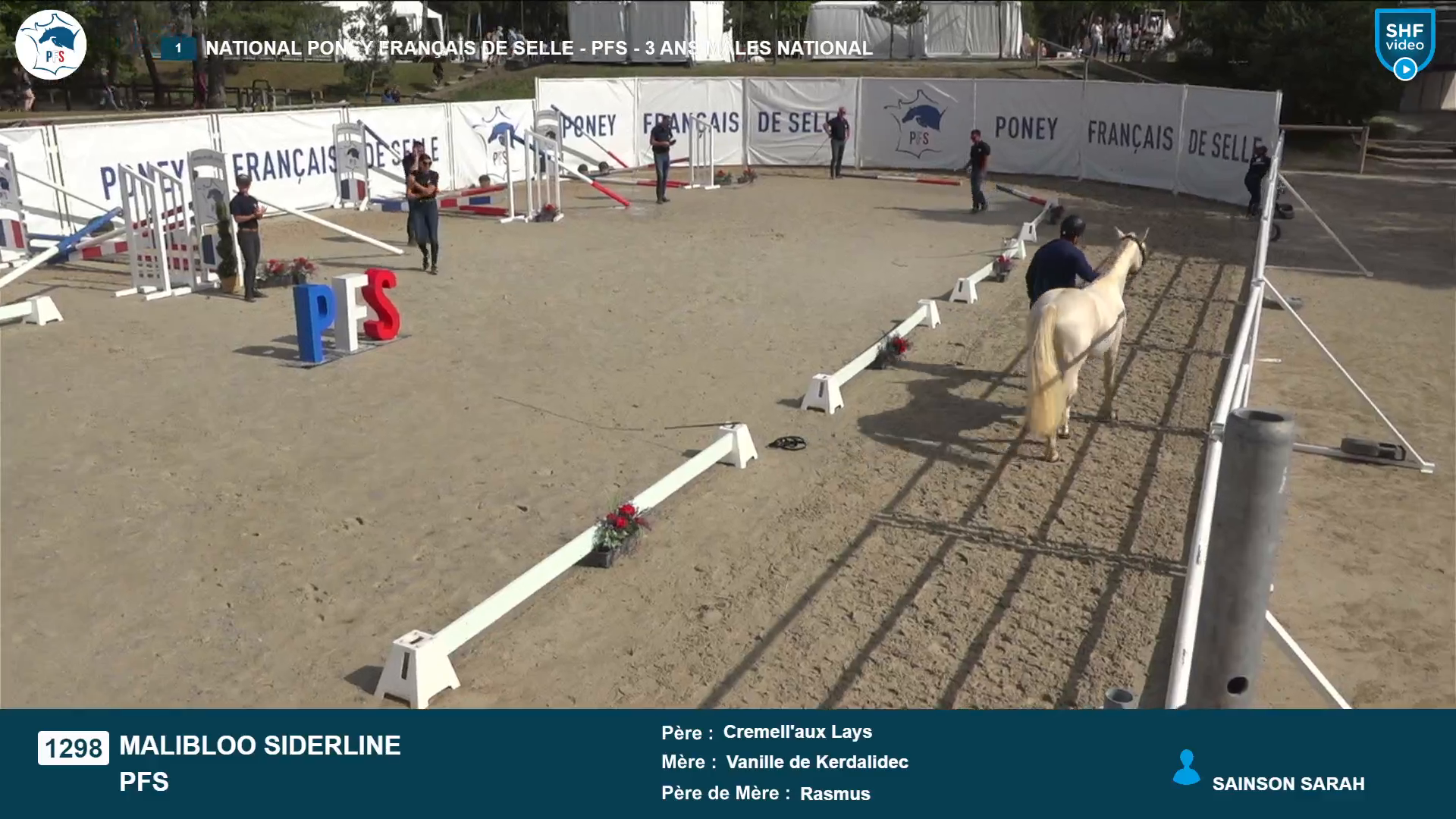 National Poney Fran&ccedil;ais de Selle - 2025-08-21