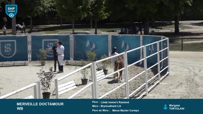 Miniature vidéo