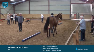 REGIONAL QUALIFICATIF POITOU-CHARENTES 2 - 2025-07-29