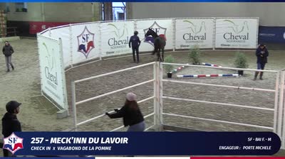 CHAMPIONNAT DES ETALONS  2 ANS SELLE FRA - 2024-12-12