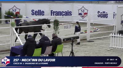 CHAMPIONNAT DES ETALONS  2 ANS SELLE FRA - 2024-12-12