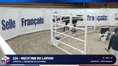 QUALIFICATIVE &Eacute;TALONS SELLE FRAN&Ccedil;AIS 2 E - 2024-11-19