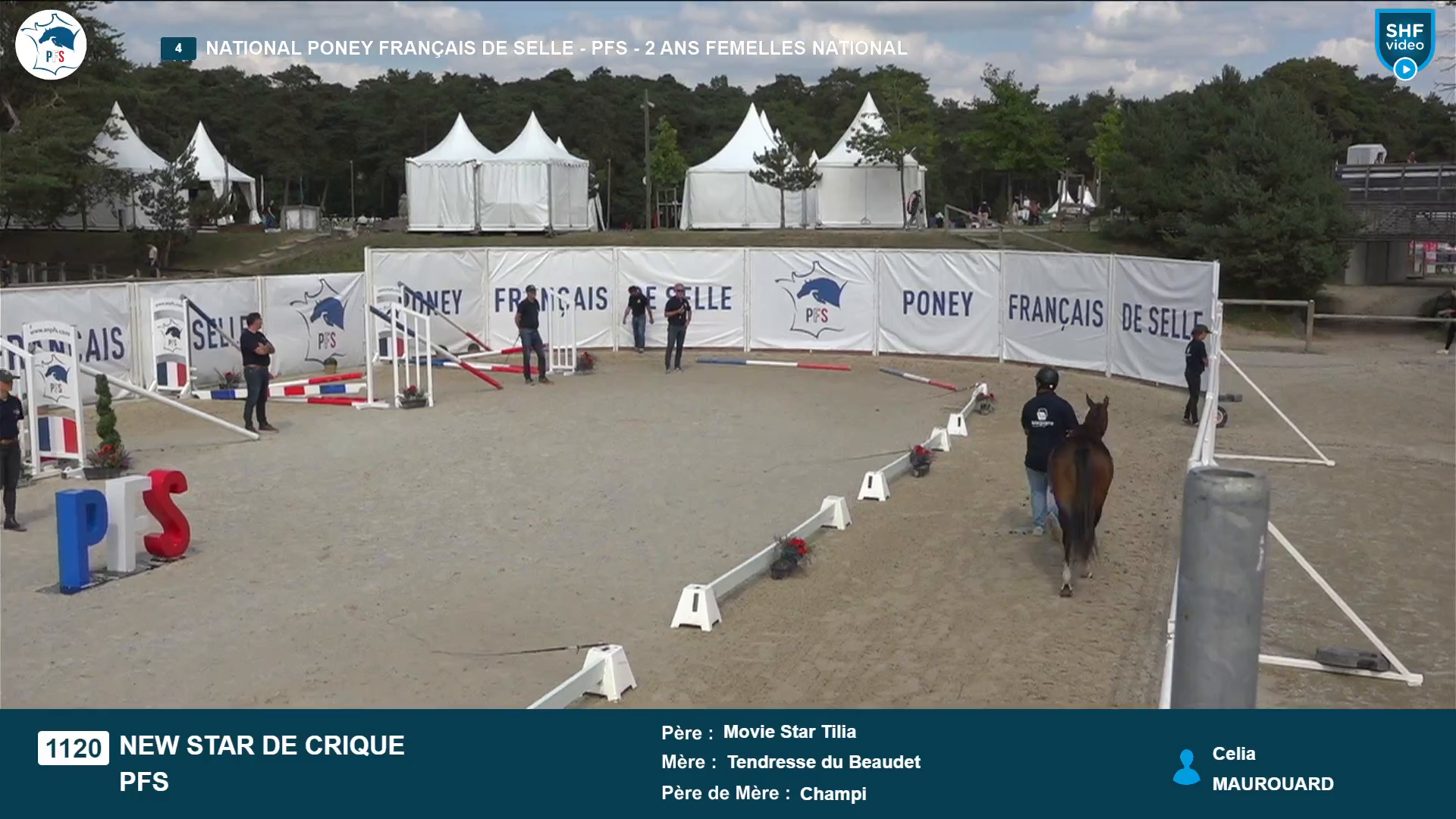 National Poney Fran&ccedil;ais de Selle - 2025-08-21