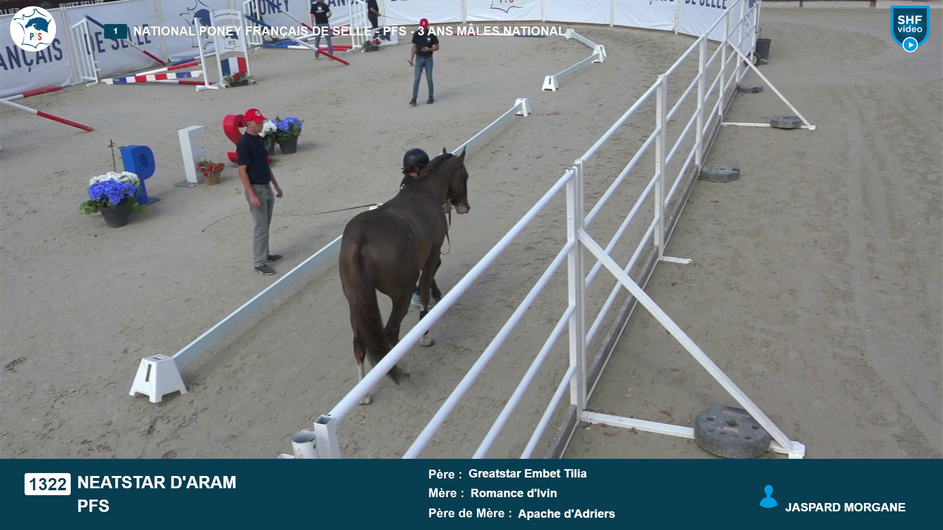 National Poney Fran&ccedil;ais de Selle - 2026-08-19