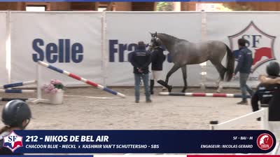 QUALIFICATIVE ÉTALONS SELLE FRANÇAIS 2 E - 2025-11-18