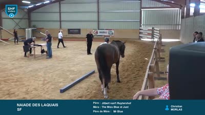 REGIONAL QUALIFICATIF POITOU CHARENTES - 2026-07-28