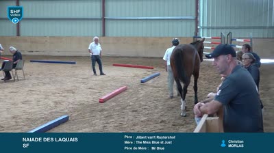 REGIONAL QUALIFICATIF POITOU-CHARENTES 2 - 2025-07-29