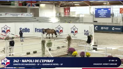 QUALIFICATIVE ETALONS SELLE FRANCAIS 2 &amp; - 2025-11-11