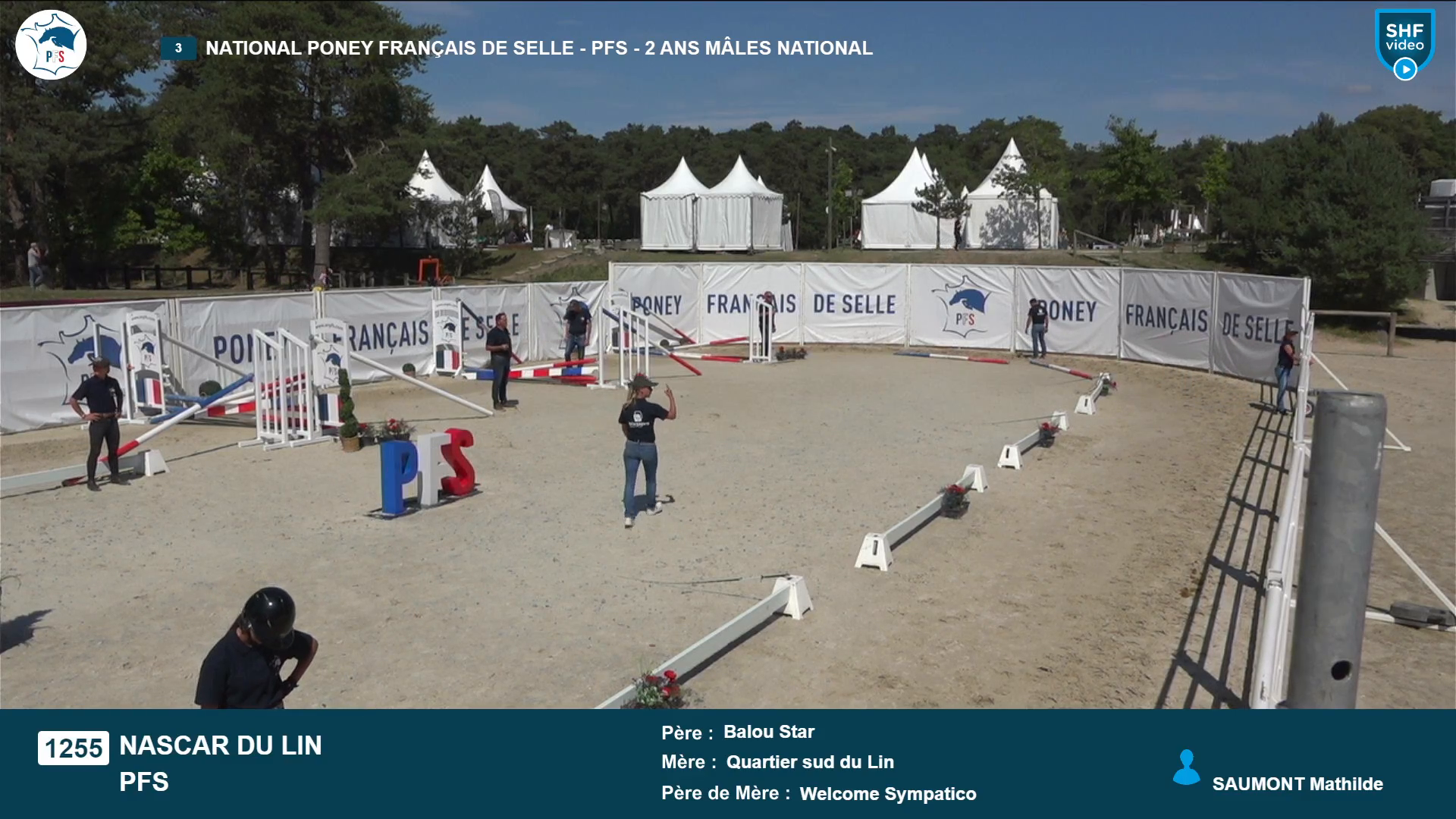 National Poney Fran&ccedil;ais de Selle - 2025-08-21