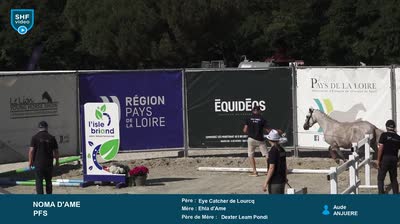 Miniature vidéo