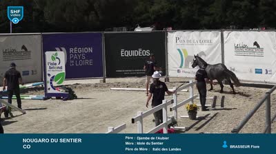Miniature vidéo