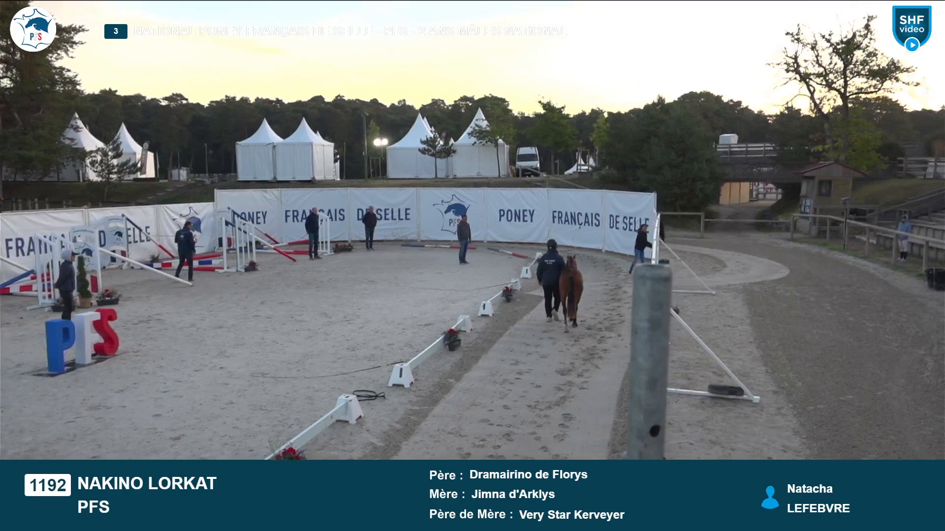 National Poney Français de Selle - 2025-08-21