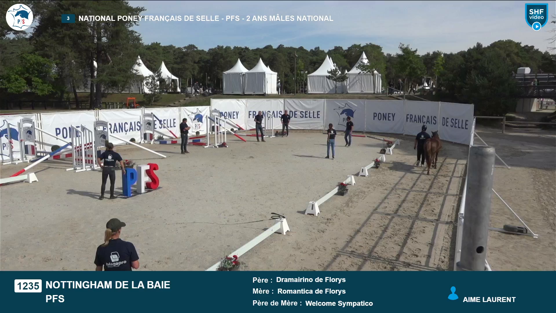 National Poney Français de Selle - 2025-08-21