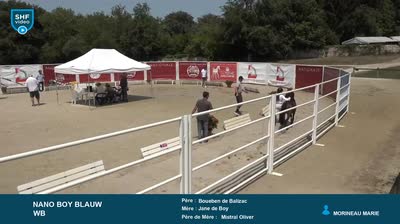 Grand R&eacute;gional Qualificatif  1 - 2 et 3  - 2026-07-29