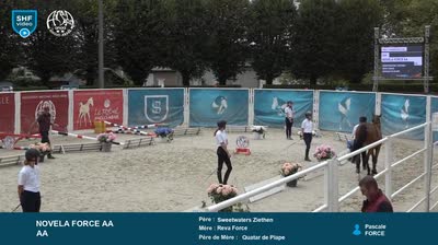 Miniature vidéo