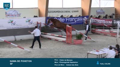 Miniature vidéo