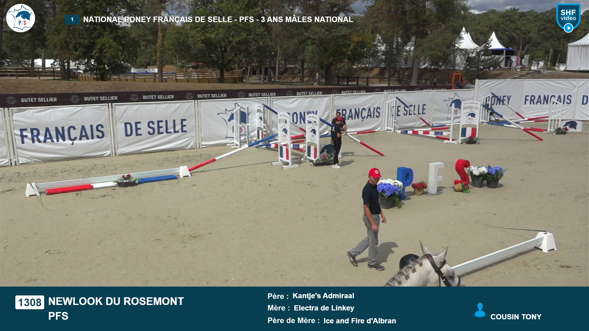National Poney Fran&ccedil;ais de Selle - 2026-08-19