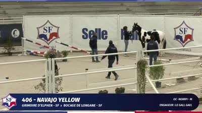 QUALIFICATIVE ETALONS SELLE FRANCAIS 2 &amp; - 2025-11-11