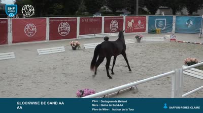 JOURNEES INTERNATIONALES DE L'ANGLO-ARAB - 2025-09-11