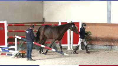 QUALIFICATIVE &Eacute;TALONS SELLE FRAN&Ccedil;AIS 2 E - 2025-11-04