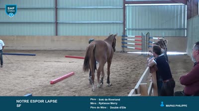 REGIONAL QUALIFICATIF POITOU-CHARENTES 2 - 2025-07-29