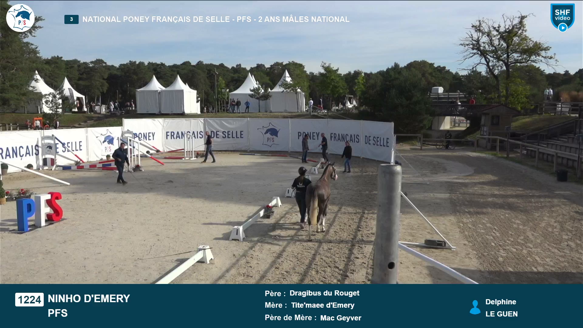 National Poney Fran&ccedil;ais de Selle - 2025-08-21