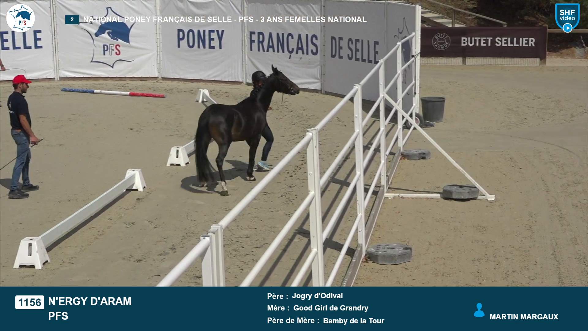 National Poney Fran&ccedil;ais de Selle - 2026-08-19
