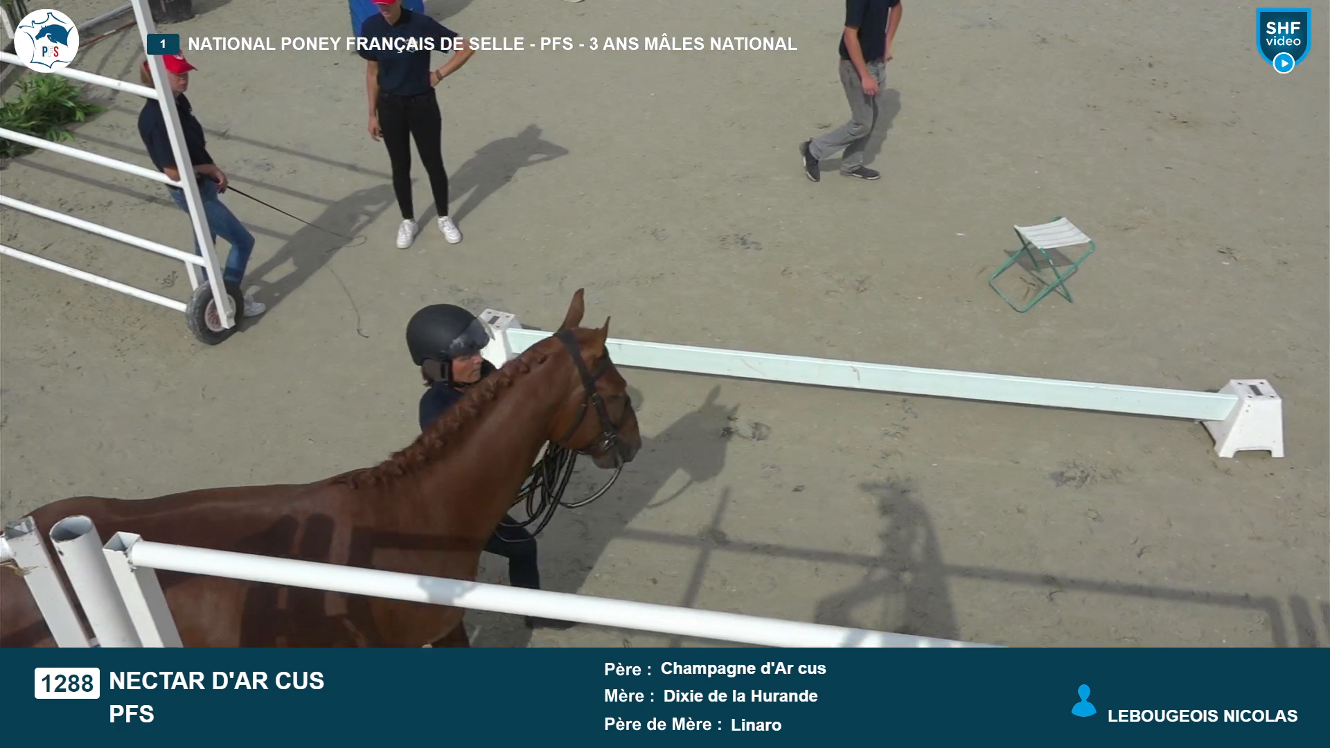 National Poney Fran&ccedil;ais de Selle - 2026-08-19