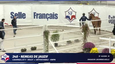 QUALIFICATIVE ETALONS SELLE FRANCAIS 2 &amp; - 2025-11-11