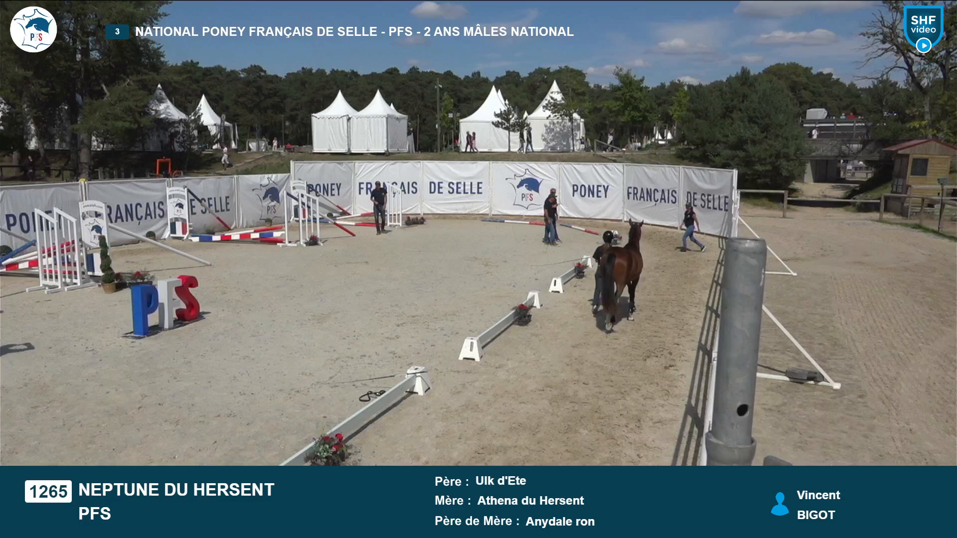National Poney Français de Selle - 2025-08-21