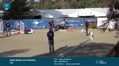 Miniature vidéo