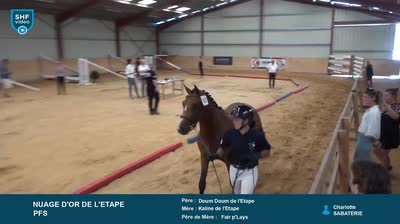 REGIONAL QUALIFICATIF POITOU CHARENTES - 2026-07-28