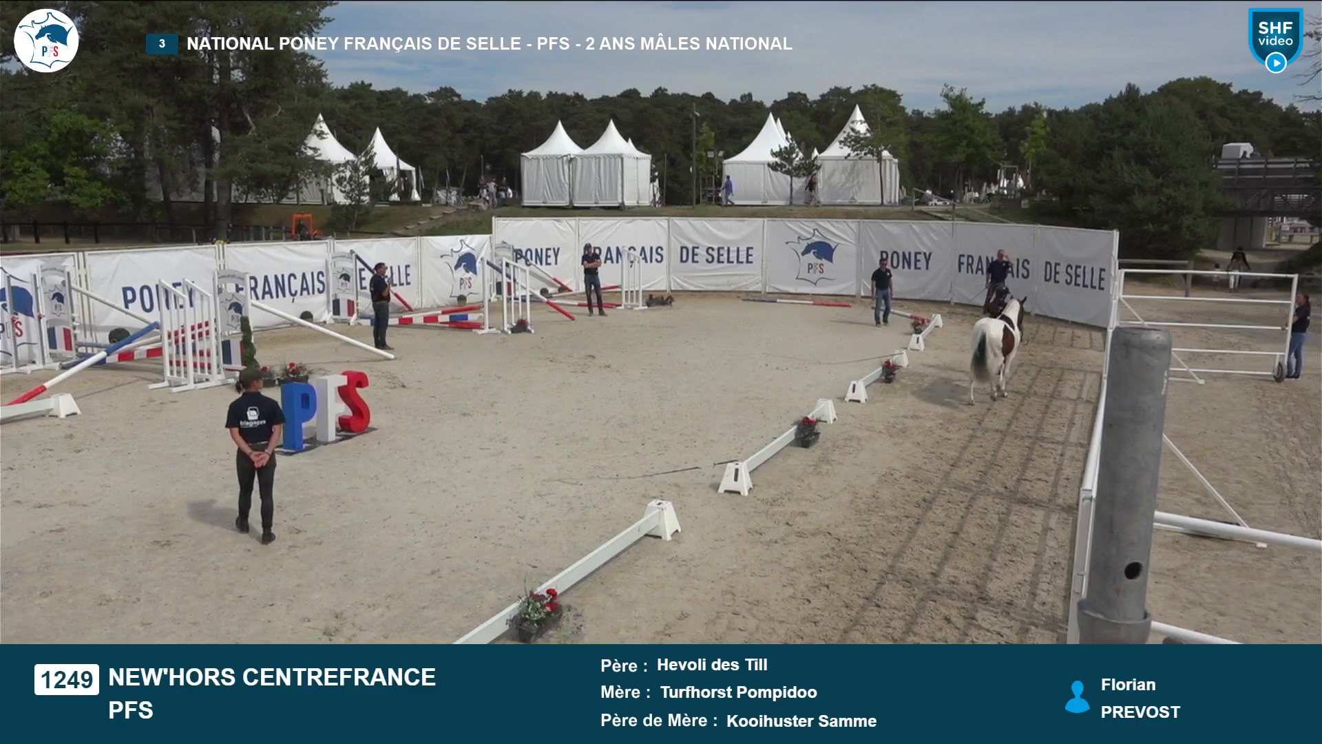 National Poney Fran&ccedil;ais de Selle - 2025-08-21