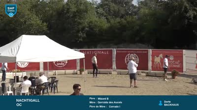 Grand R&eacute;gional Qualificatif  1 - 2 et 3  - 2026-07-29