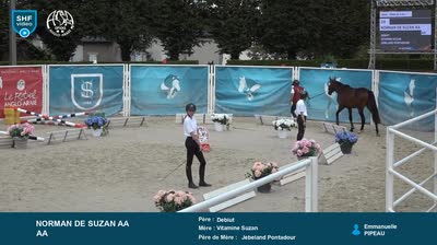 JOURNEES INTERNATIONALES DE L'ANGLO-ARAB - 2025-09-11