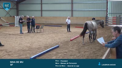 REGIONAL QUALIFICATIF POITOU-CHARENTES 2 - 2025-07-29