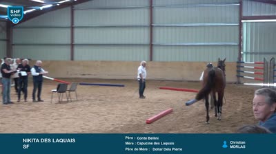 REGIONAL QUALIFICATIF POITOU-CHARENTES 2 - 2025-07-29