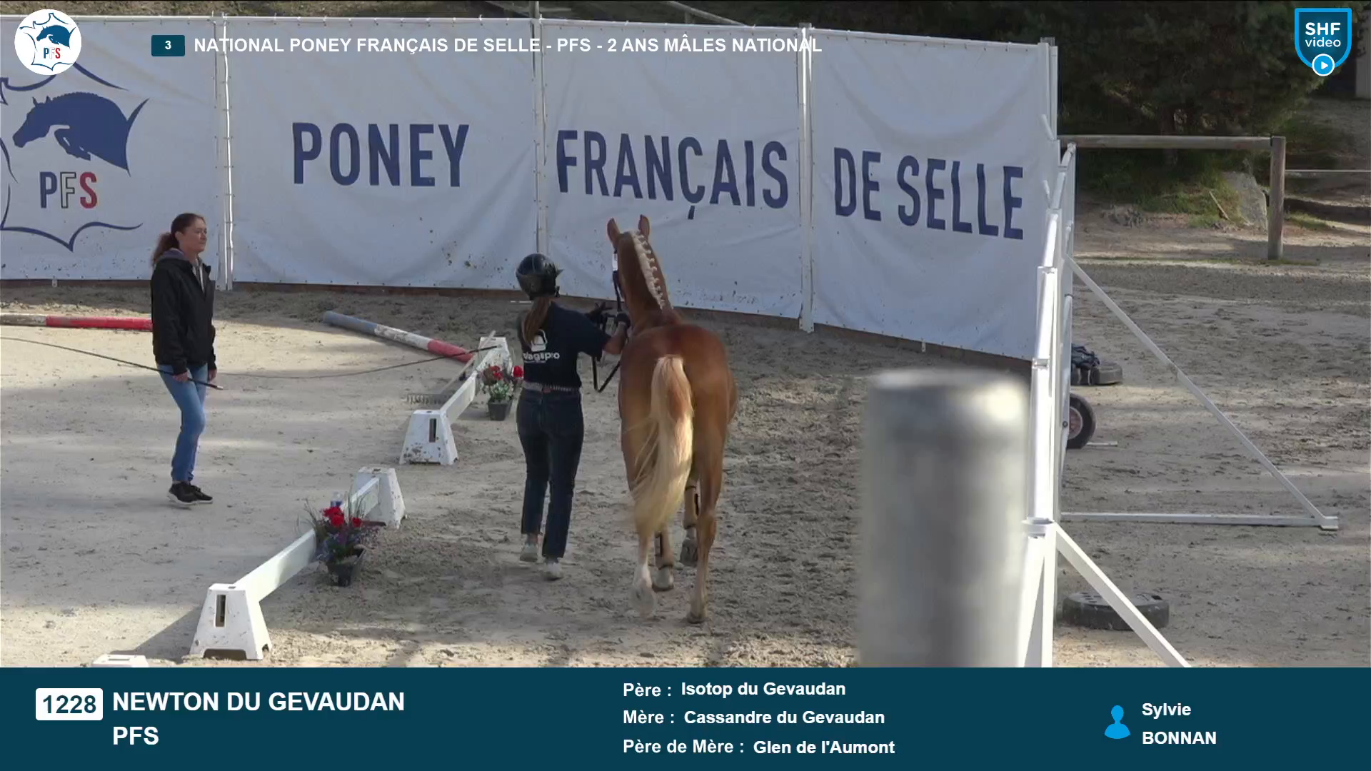 National Poney Français de Selle - 2025-08-21