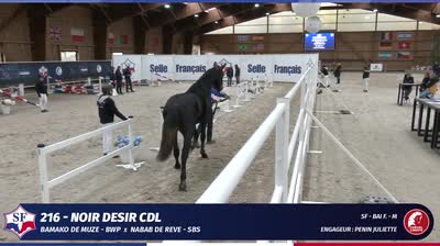 QUALIFICATIVE ÉTALONS SELLE FRANÇAIS 2 E - 2025-11-18