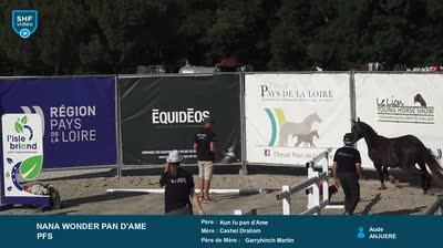 Miniature vidéo