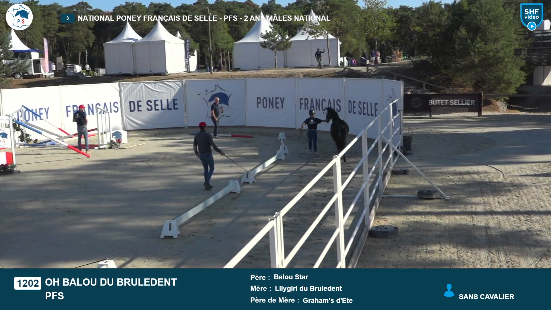 National Poney Fran&ccedil;ais de Selle - 2026-08-20